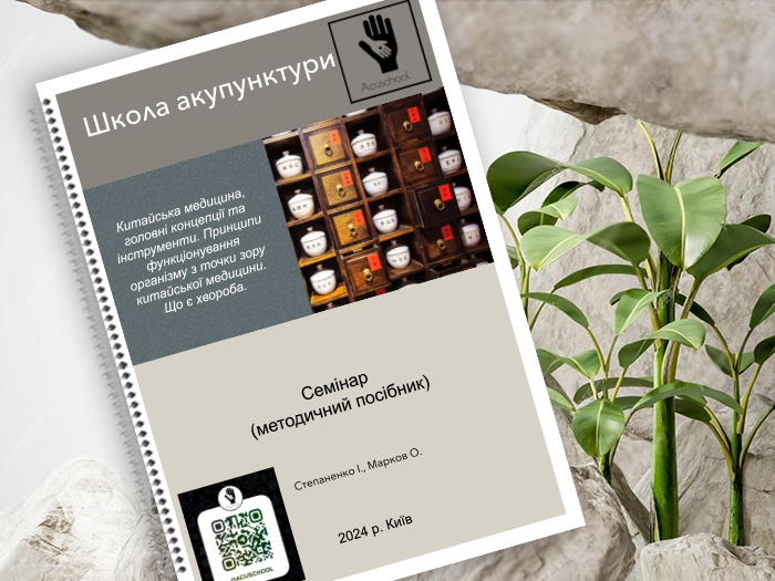 Китайская медицина, главные концепции и инструменты