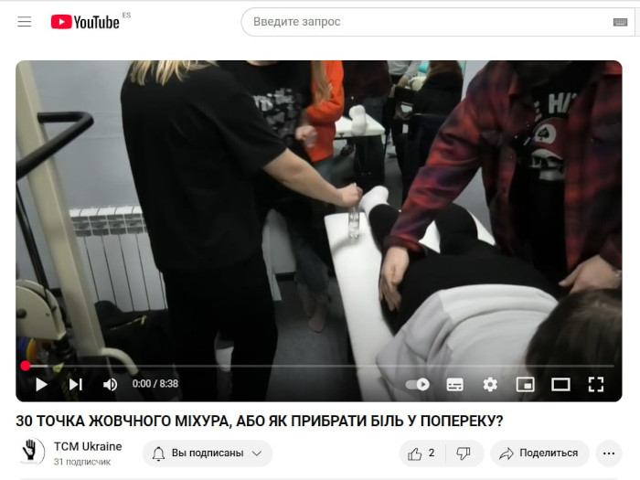 Діагностика в рефлексотерапії 8 принципів, концепція ідентифікації патологій
